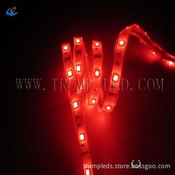RGB Waterproof smd 3258 led flexible strip CE & RoHS